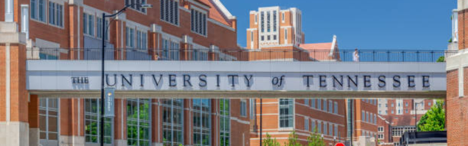 utk 2